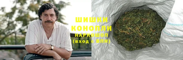 СК Гусев