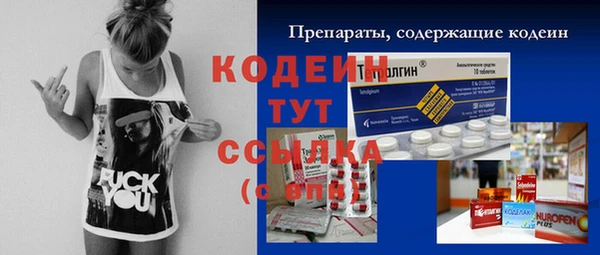прущие грибы Гусь-Хрустальный