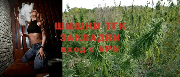 прущие грибы Гусь-Хрустальный