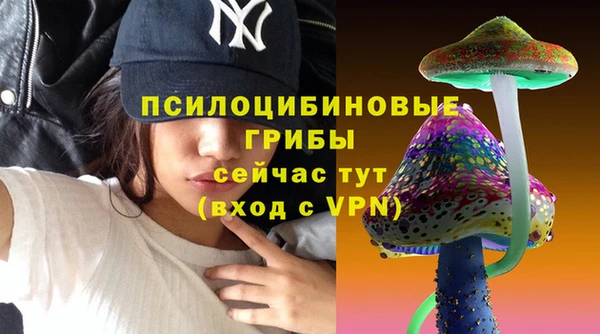 экстази Горняк