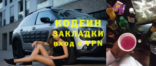 прущие грибы Гусь-Хрустальный
